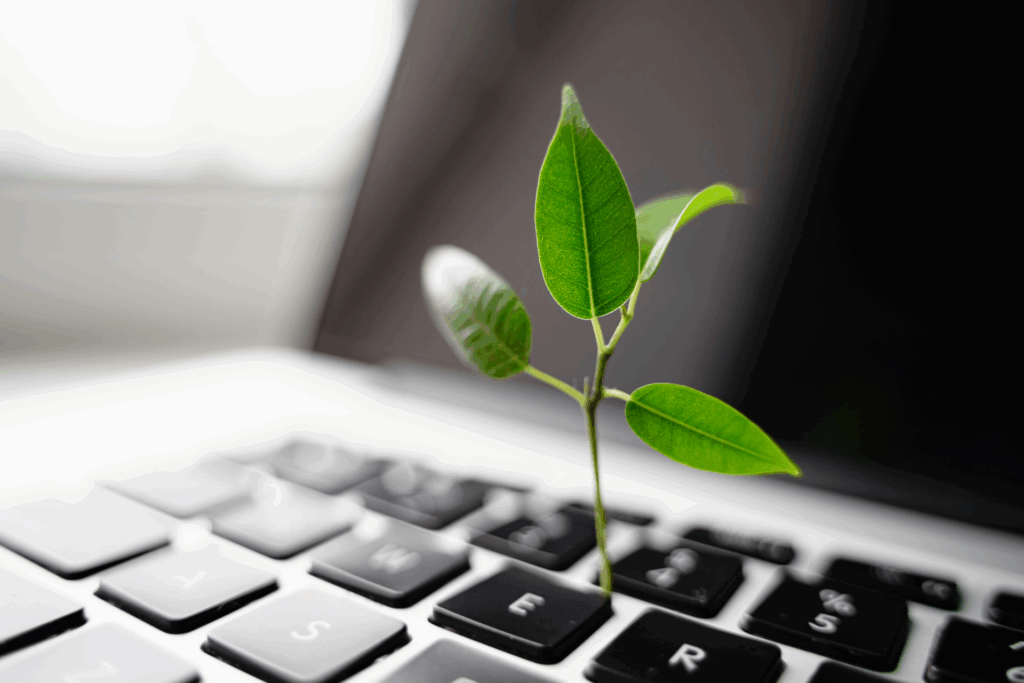 Green UX: Nachhaltiges Webdesign für eine bessere Zukunft