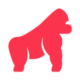 Webgorilla Favicon