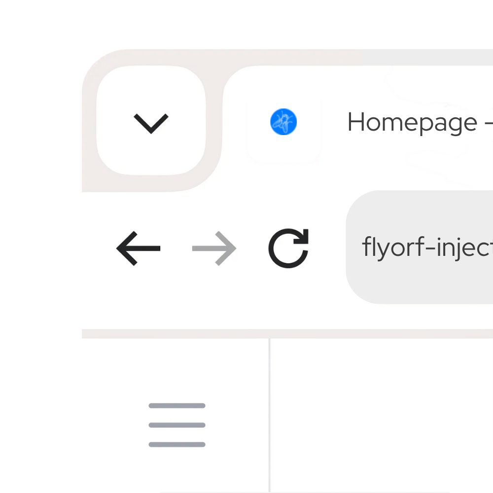 Browseransicht mit dem Favicon des FlyORF Drosophila Injection Service: ein weißes Symbol einer stilisierten Fliege auf einem blauen Kreis, angezeigt links neben der Website-Adresse „flyorf-injection.ch“ in der Adresszeile.