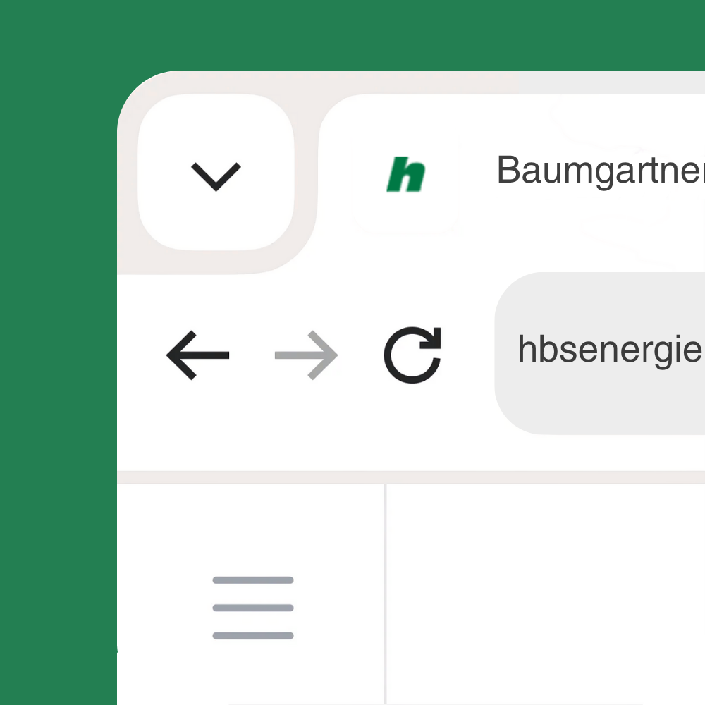 Das Favicon von H. Baumgartner & Sohn AG zeigt ein schlichtes, grünes „h“ auf weißem Hintergrund. Es greift die Primärfarbe des Unternehmens auf und sorgt für eine klare, wiedererkennbare Markenidentität im Browser-Tab.