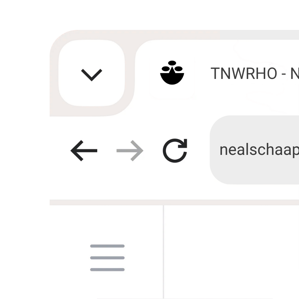 favicon nealschaap