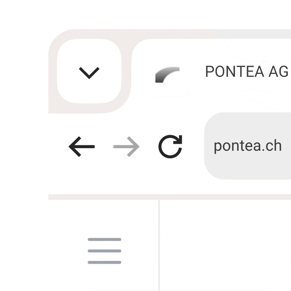 favicon pontea