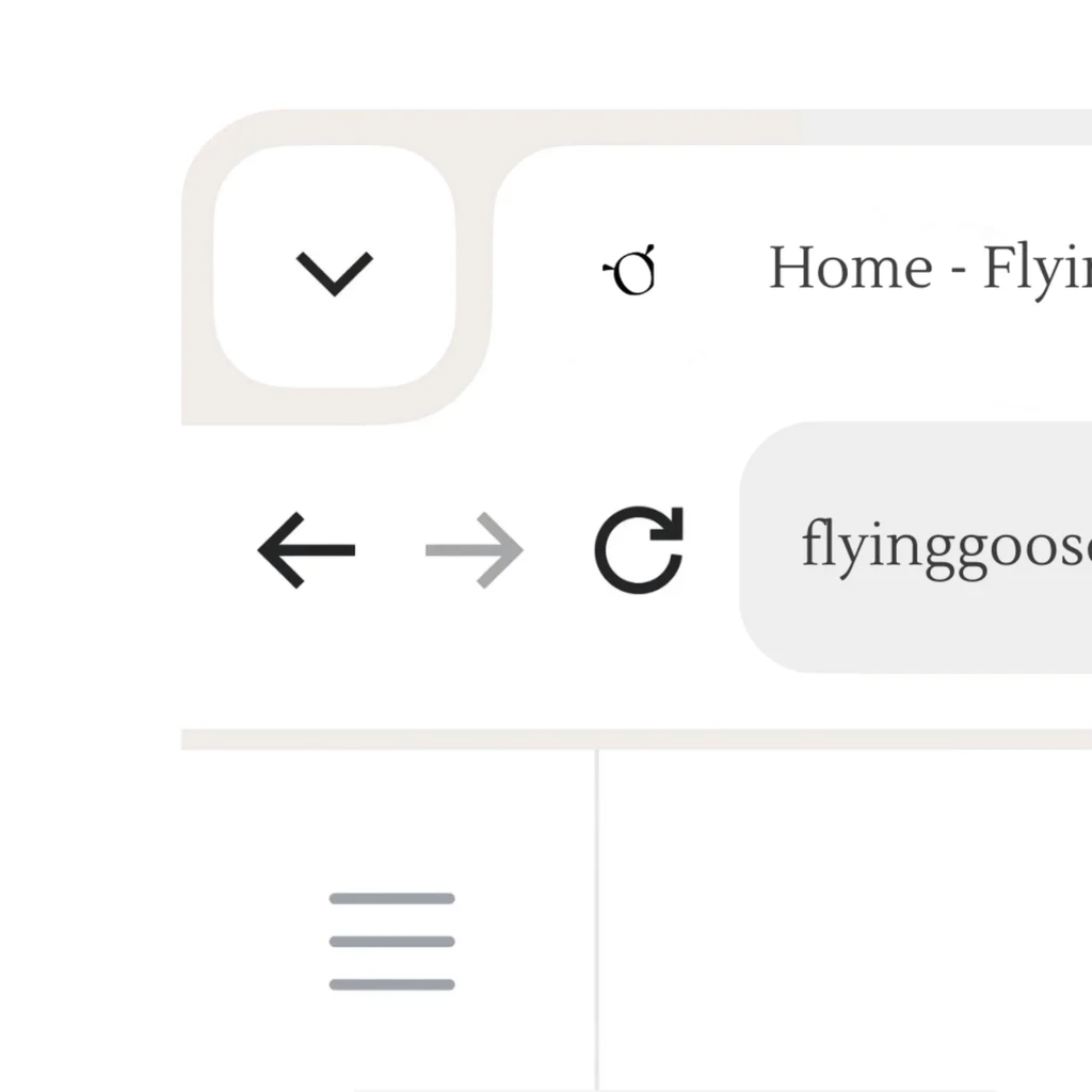 Benutzeroberflaeche mit Dropdown Symbol Navigationspfeilen Aktualisieren Icon Suchfeld und Menuesymbol fuer die Flying Goose Webseite.